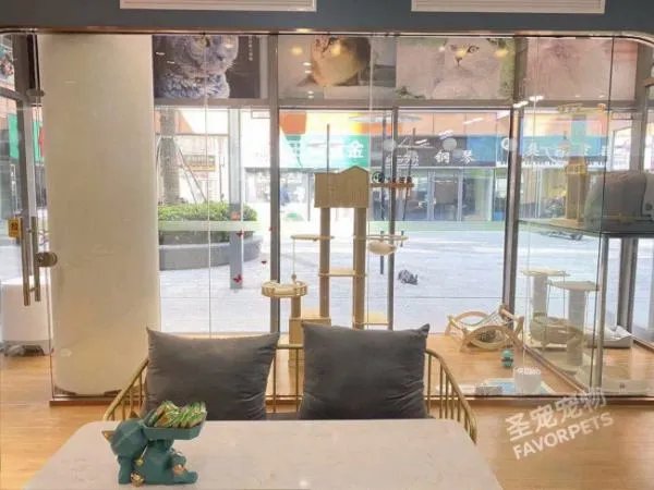开宠物店需要什么手续和证件?
