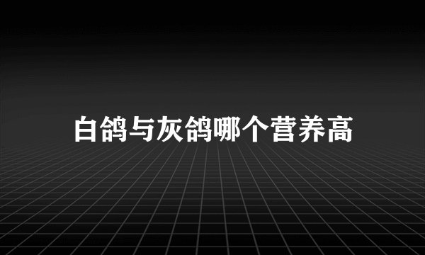白鸽与灰鸽哪个营养高