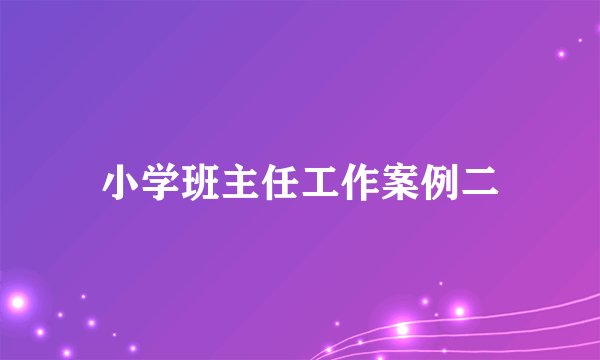 小学班主任工作案例二