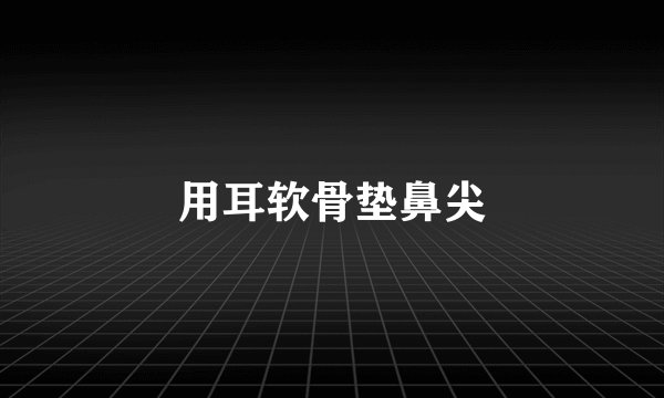 用耳软骨垫鼻尖