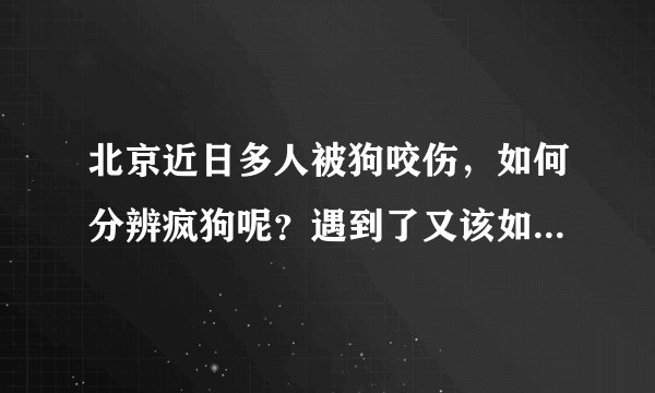 北京近日多人被狗咬伤，如何分辨疯狗呢？遇到了又该如何自救呢？