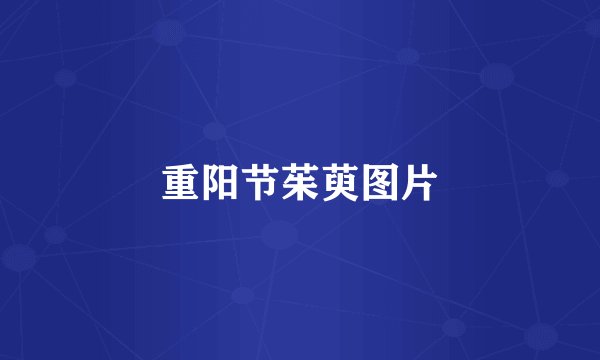 重阳节茱萸图片