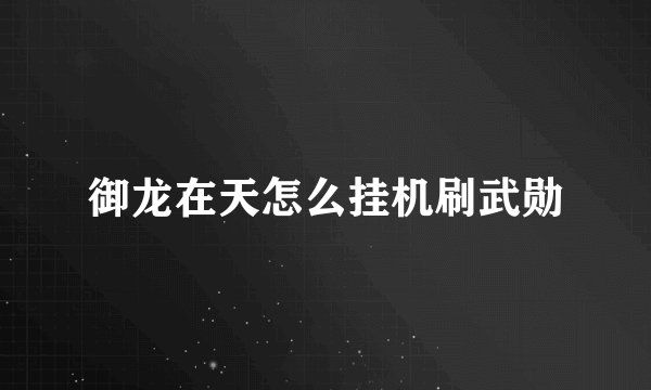 御龙在天怎么挂机刷武勋