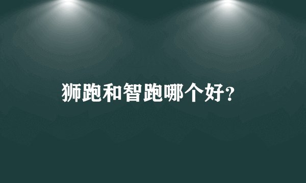 狮跑和智跑哪个好?