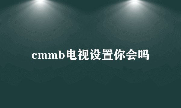 cmmb电视设置你会吗