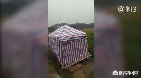 广西九旬老人病重住大棚，镇政府：当地忌讳老人在女儿家过世，你怎么看？