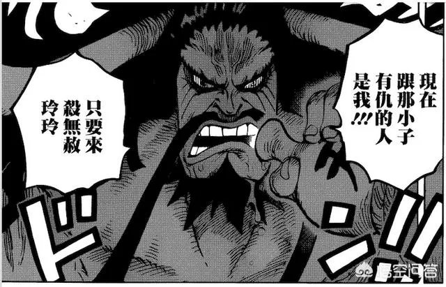 《海贼王》951话更新!凯多和大妈居然在同一艘海贼团待过?
