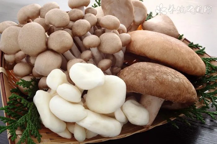 清热解毒饮料
