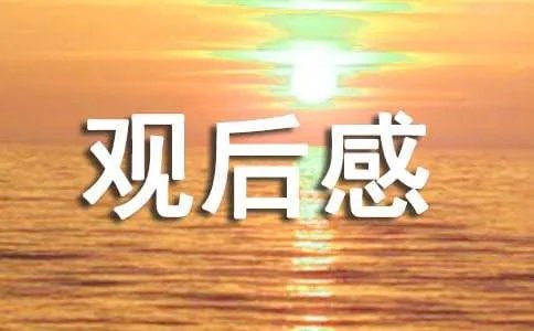 《今年一定要嫁出去》观后感