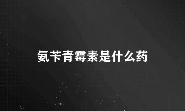 氨苄青霉素是什么药