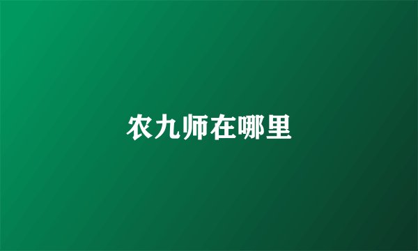 农九师在哪里