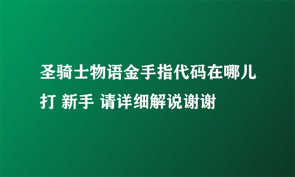 圣骑士物语金手指代码在哪儿打 新手 请详细解说谢谢