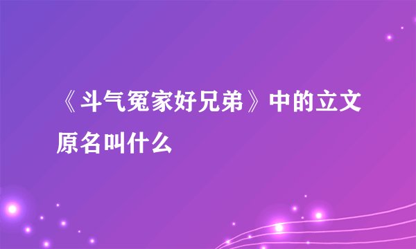 《斗气冤家好兄弟》中的立文原名叫什么