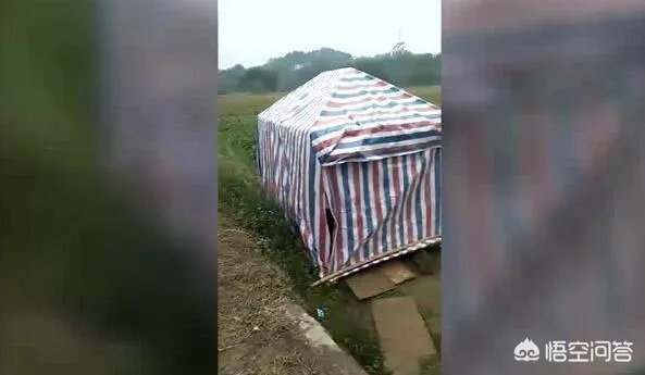 广西九旬老人病重住大棚，镇政府：当地忌讳老人在女儿家过世，你怎么看？