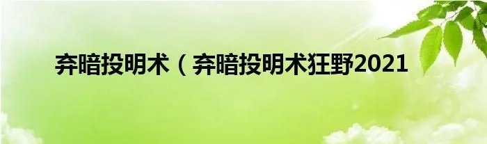 弃暗投明术（弃暗投明术狂野2021