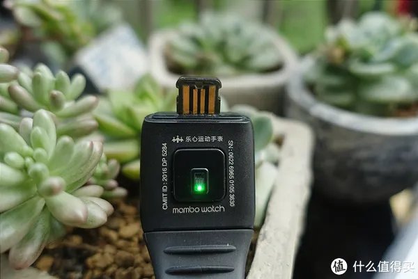 乐心运动手环