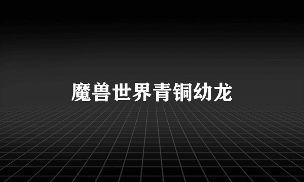 魔兽世界青铜幼龙