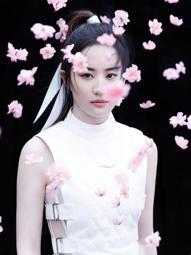 出演花木兰的刘亦菲是世界都认可的美吗？