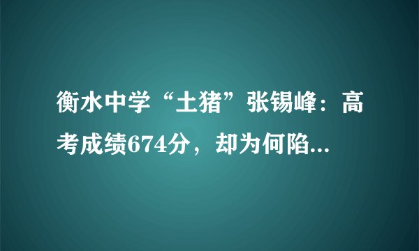 衡水中学“土猪”张锡峰：高考成绩674分，却为何陷入舆论之中？
