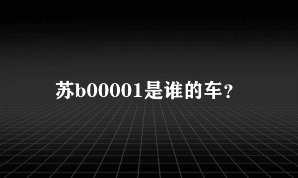 苏b00001是谁的车？