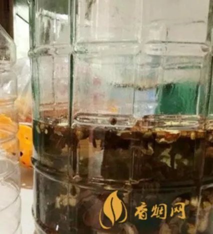 白酒钓鱼泡酒配方大全 丁香酒钓鱼配方大全?