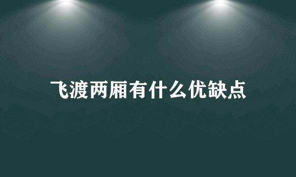 飞渡两厢有什么优缺点