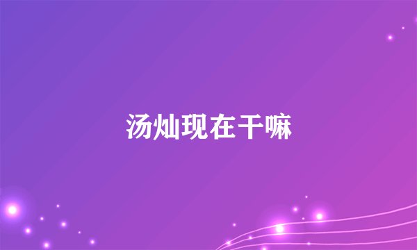 汤灿现在干嘛