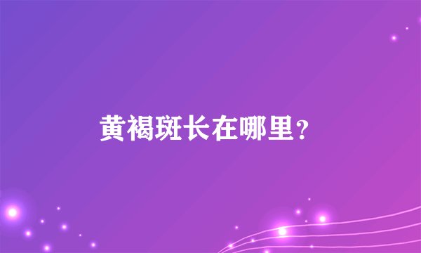 黄褐斑长在哪里？