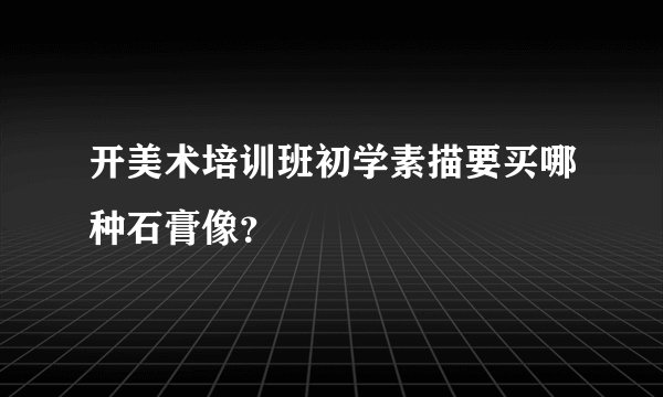 开美术培训班初学素描要买哪种石膏像？