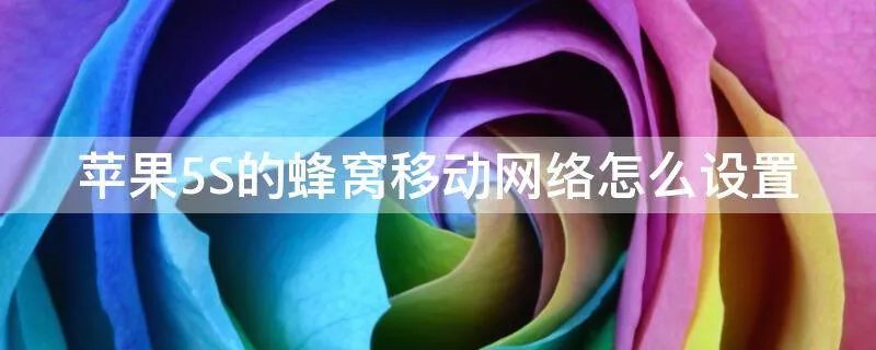 苹果5S的蜂窝移动网络怎么设置