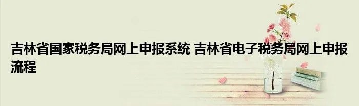吉林省国家税务局网上申报系统 吉林省电子税务局网上申报流程