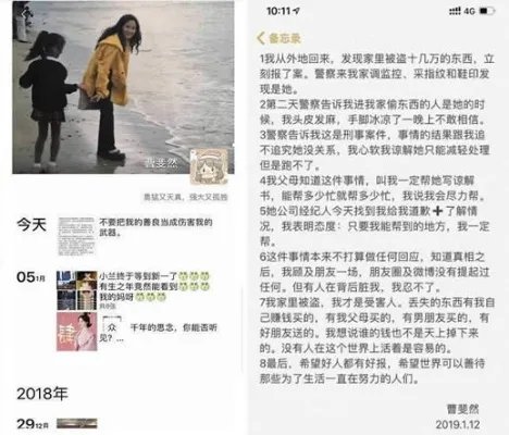 女艺人入室盗窃最新详情:这位女艺人是谁为什么盗窃