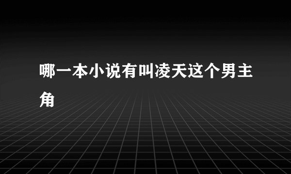 哪一本小说有叫凌天这个男主角