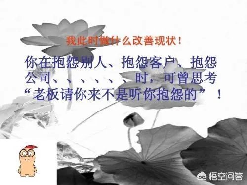 为什么张雪峰总是有很多职场鸡汤?