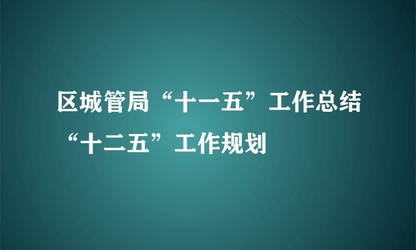 区城管局“十一五”工作总结“十二五”工作规划