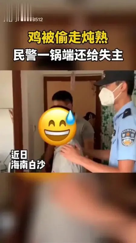 市民家中的鸡被偷走炖熟,民警一锅端还给失主,其厨艺如何?