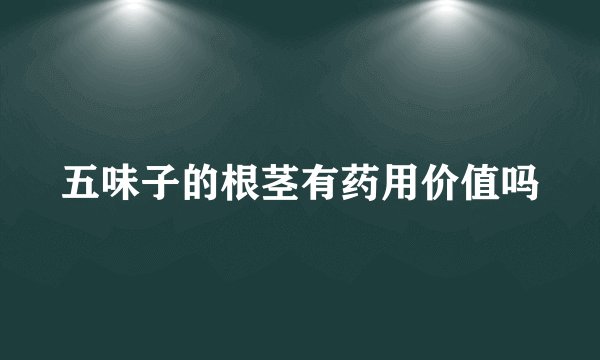 五味子的根茎有药用价值吗