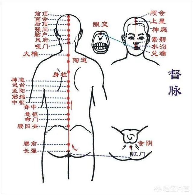 《黄帝内经》仅仅是一部医学巨著吗?