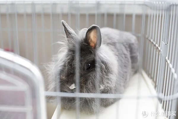 闻香识女人：翻一翻自家女王的小众香水
