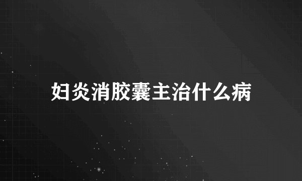 妇炎消胶囊主治什么病