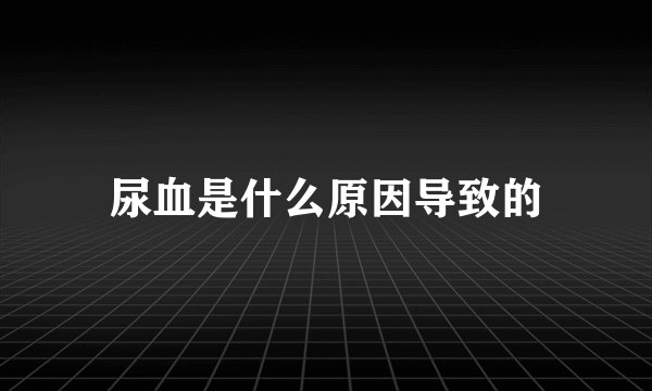 尿血是什么原因导致的