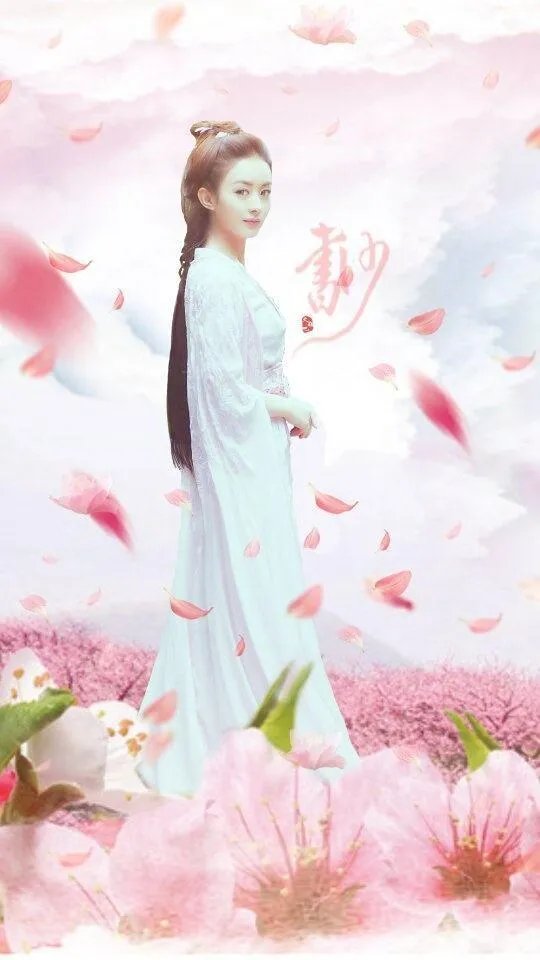 《楚乔传》一共有多少集?