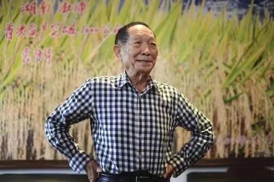 袁花花再也无法陪袁隆平听汇报了,袁花花是袁隆平的谁?