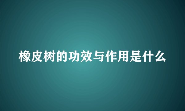 橡皮树的功效与作用是什么