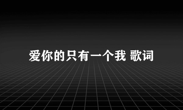爱你的只有一个我 歌词