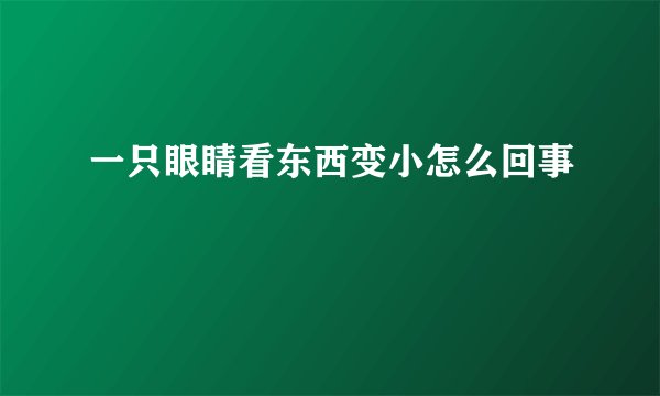 一只眼睛看东西变小怎么回事