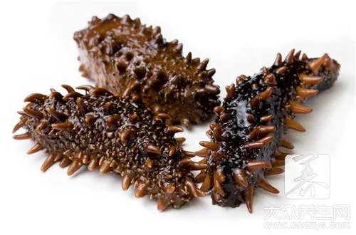 干海参的做法发泡步骤