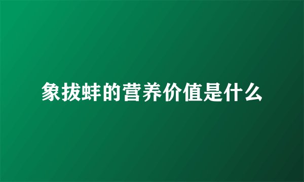 象拔蚌的营养价值是什么