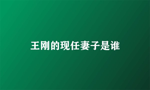 王刚的现任妻子是谁