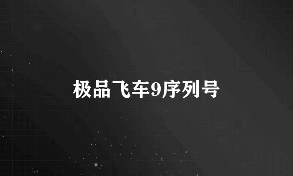 极品飞车9序列号